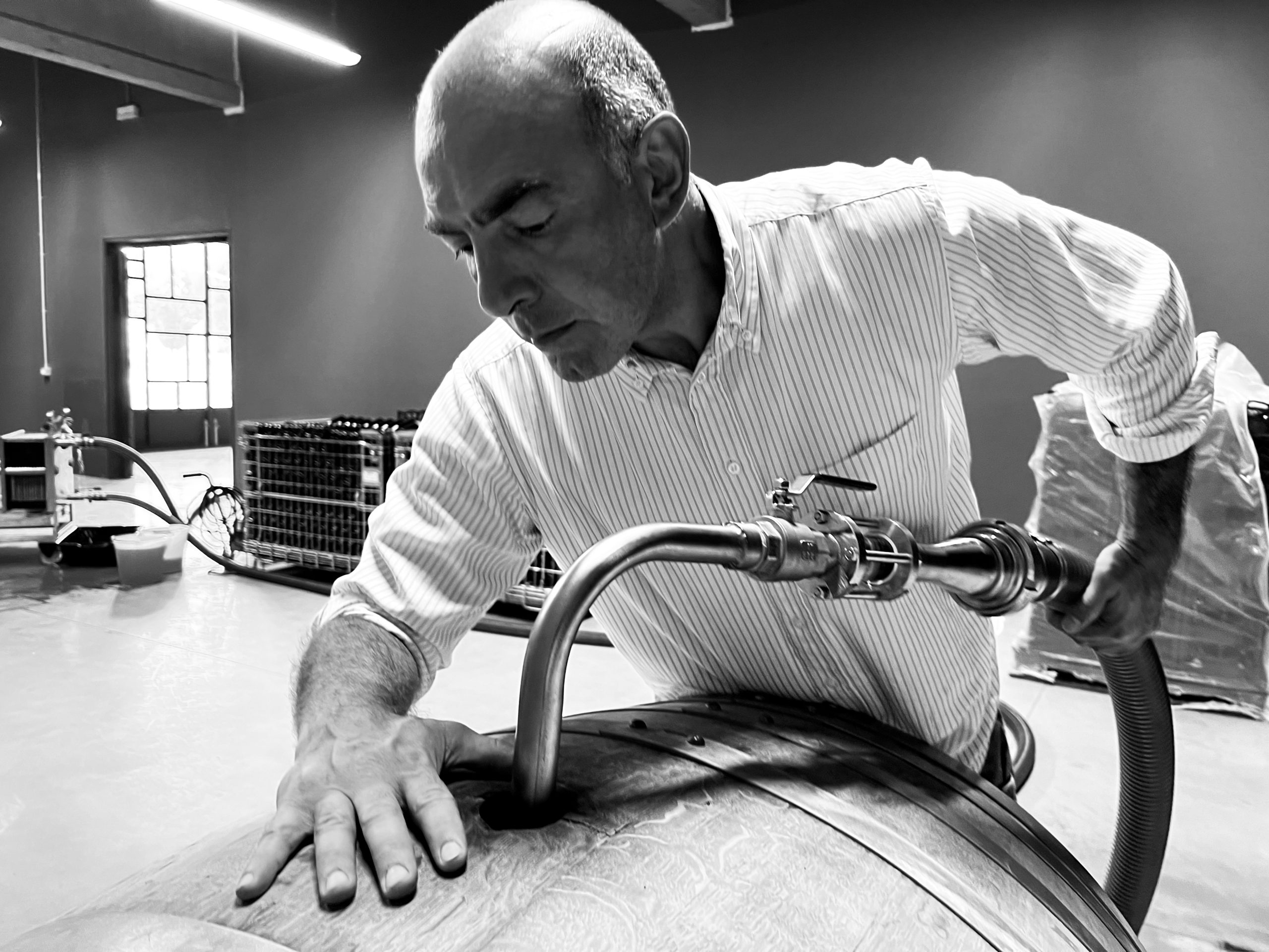 Salvaguardia delle tradizioni e continua innovazione in cantina